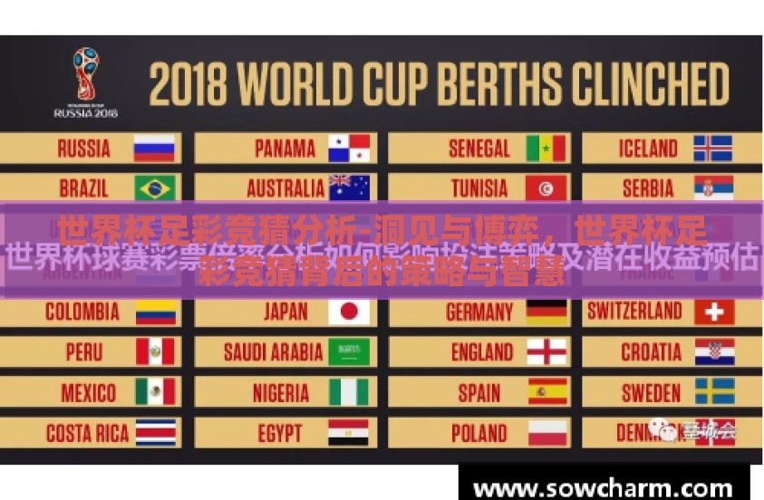 世界杯足彩竞猜分析-洞见与博弈，世界杯足彩竞猜背后的策略与智慧