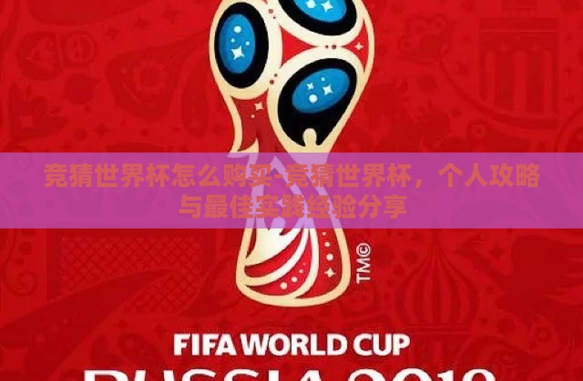 竞猜世界杯怎么购买-竞猜世界杯，个人攻略与最佳实践经验分享