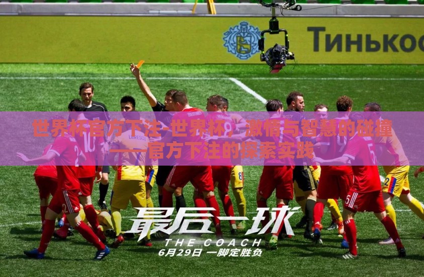 世界杯官方下注-世界杯，激情与智慧的碰撞——官方下注的探索实践