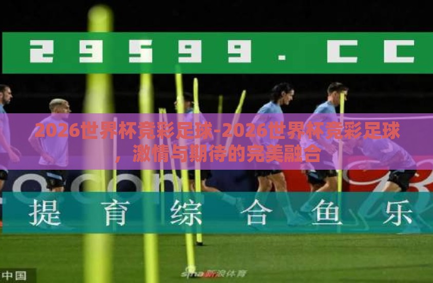 2026世界杯竞彩足球-2026世界杯竞彩足球，激情与期待的完美融合