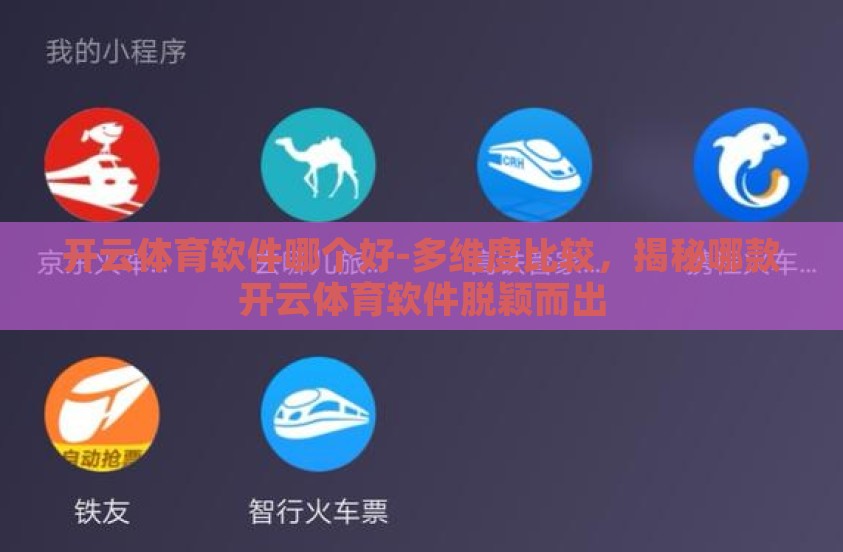 开云体育软件哪个好-多维度比较，揭秘哪款开云体育软件脱颖而出