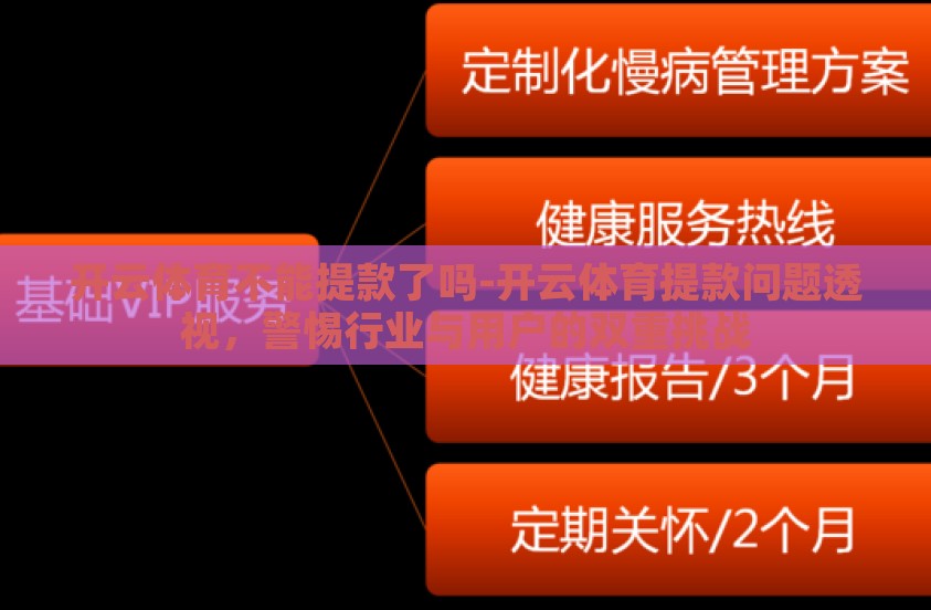 开云体育不能提款了吗-开云体育提款问题透视，警惕行业与用户的双重挑战