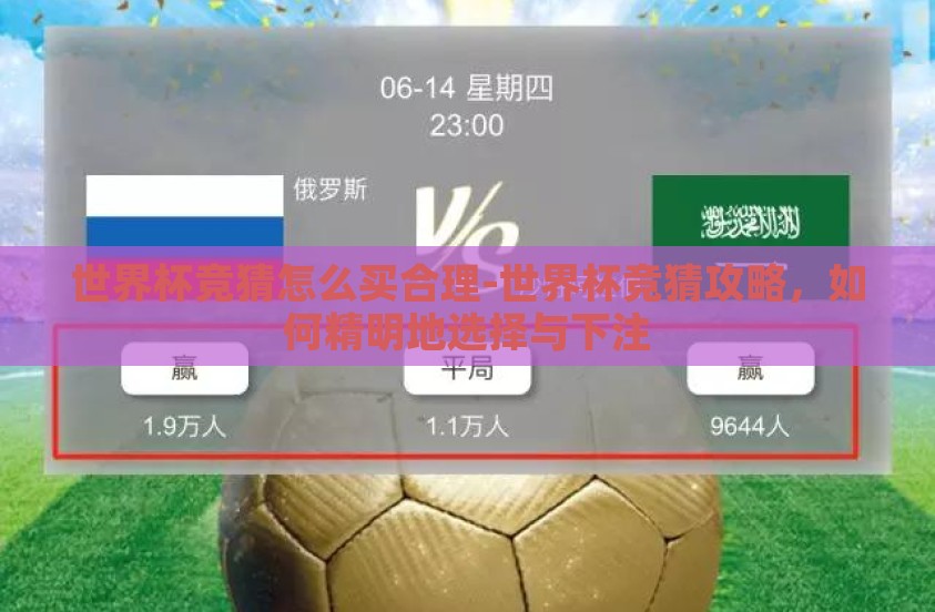 世界杯竞猜怎么买合理-世界杯竞猜攻略，如何精明地选择与下注