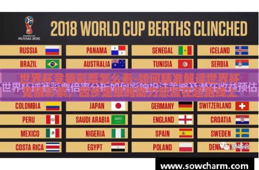 世界杯竞猜彩票怎么看-如何精准解读世界杯竞猜彩票，四步走策略助力您赢在起跑线上