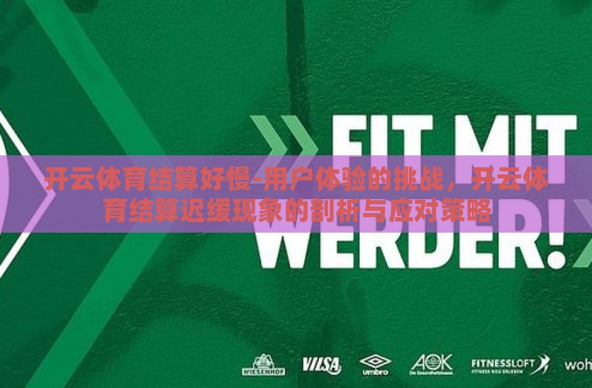 开云体育结算好慢-用户体验的挑战，开云体育结算迟缓现象的剖析与应对策略