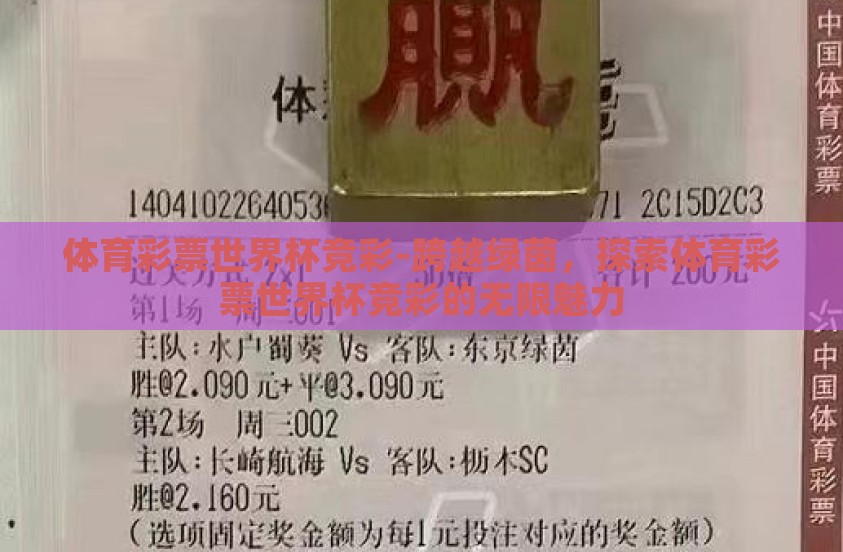 体育彩票世界杯竞彩-跨越绿茵，探索体育彩票世界杯竞彩的无限魅力