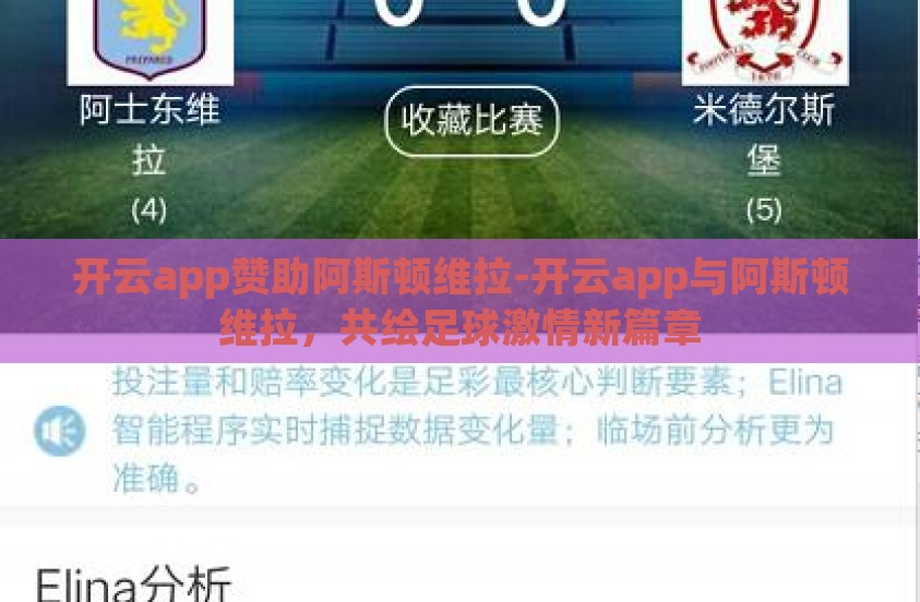 开云app赞助阿斯顿维拉-开云app与阿斯顿维拉，共绘足球激情新篇章