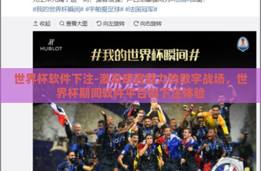 世界杯软件下注-激发感官魅力的数字战场，世界杯期间软件平台的下注体验