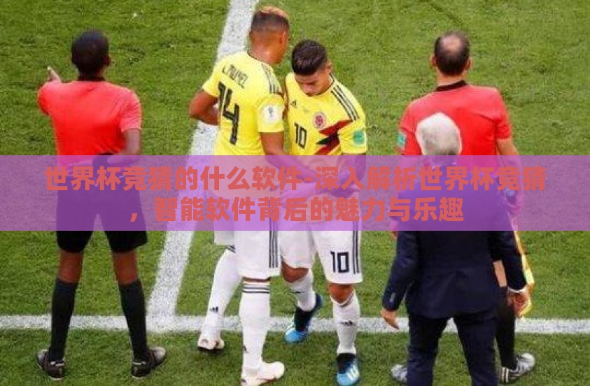 世界杯竞猜的什么软件-深入解析世界杯竞猜，智能软件背后的魅力与乐趣