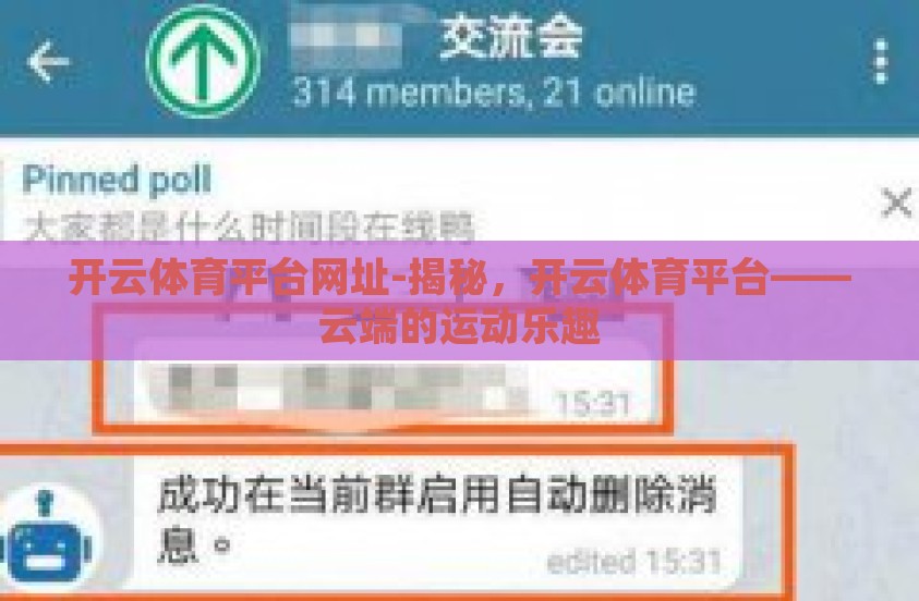 开云体育平台网址-揭秘，开云体育平台——云端的运动乐趣