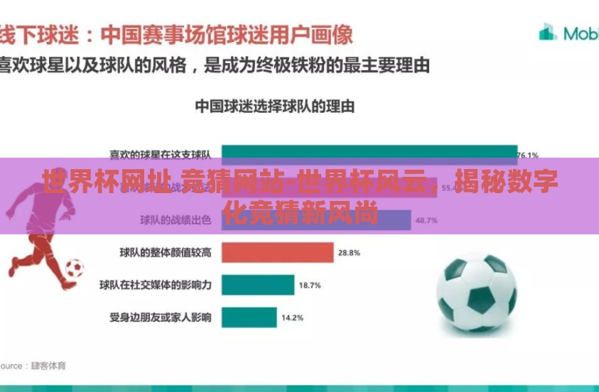 世界杯网址 竞猜网站-世界杯风云，揭秘数字化竞猜新风尚