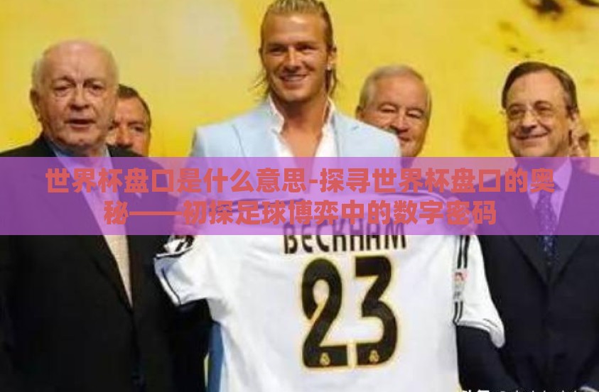 世界杯盘口是什么意思-探寻世界杯盘口的奥秘——初探足球博弈中的数字密码