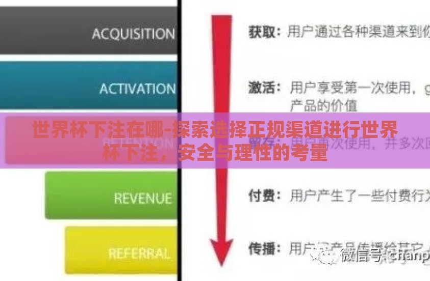世界杯下注在哪-探索选择正规渠道进行世界杯下注，安全与理性的考量