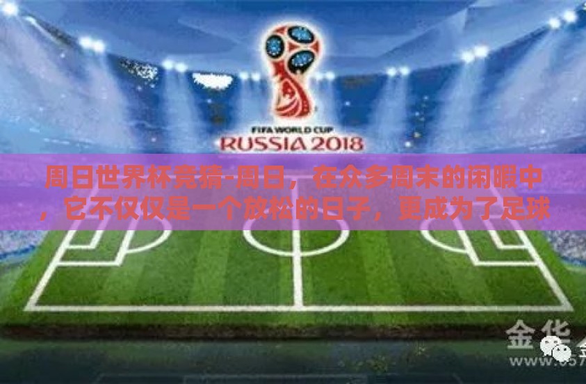 周日世界杯竞猜-周日，在众多周末的闲暇中，它不仅仅是一个放松的日子，更成为了足球迷眼中的一个特殊时刻——周日世界杯竞猜。这项活动，如同跃动的火焰，点燃了无数喜爱足球的人们心中的热情