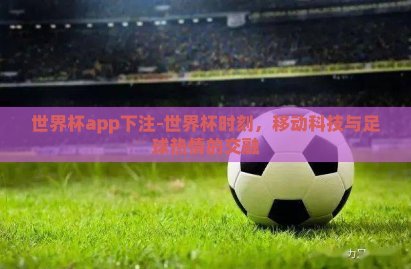 世界杯app下注-世界杯时刻，移动科技与足球热情的交融