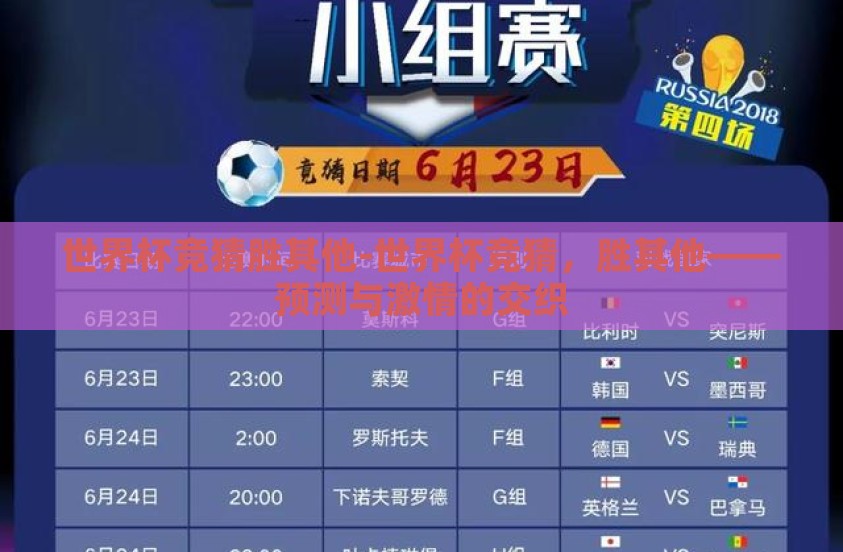 世界杯竞猜胜其他-世界杯竞猜，胜其他——预测与激情的交织