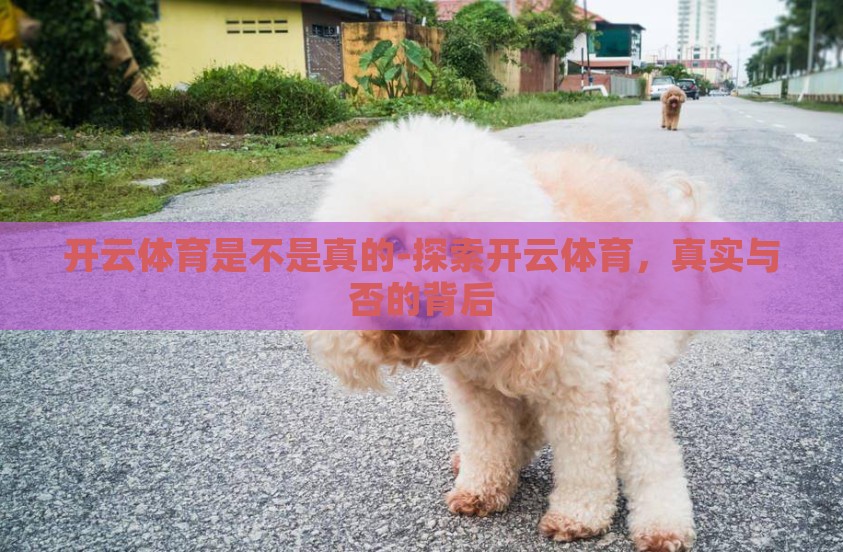 开云体育是不是真的-探索开云体育，真实与否的背后