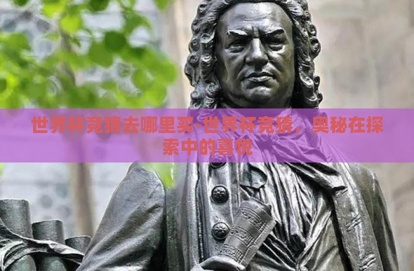 世界杯竞猜去哪里买-世界杯竞猜，奥秘在探索中的喜悦