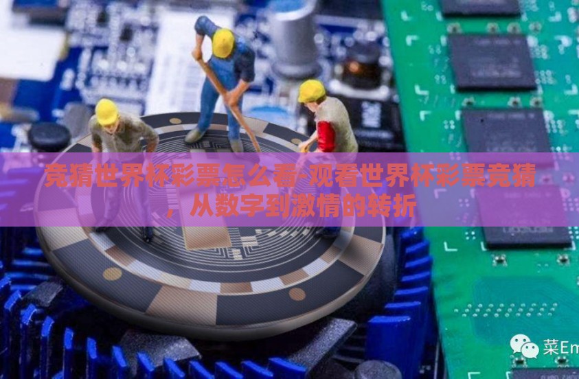 竞猜世界杯彩票怎么看-观看世界杯彩票竞猜，从数字到激情的转折