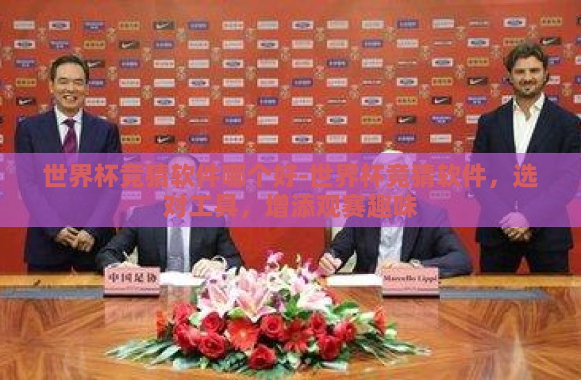 世界杯竞猜软件哪个好-世界杯竞猜软件，选对工具，增添观赛趣味