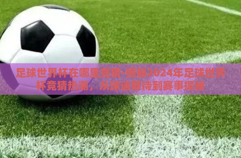 足球世界杯在哪里竞猜-揭秘2024年足球世界杯竞猜热潮，从球迷期待到赛事探秘