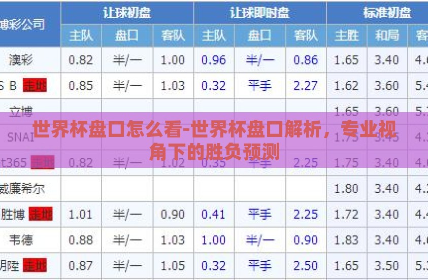 世界杯盘口怎么看-世界杯盘口解析，专业视角下的胜负预测