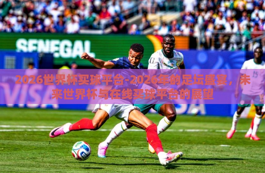 2026世界杯买球平台-2026年的足坛盛宴，未来世界杯与在线买球平台的展望