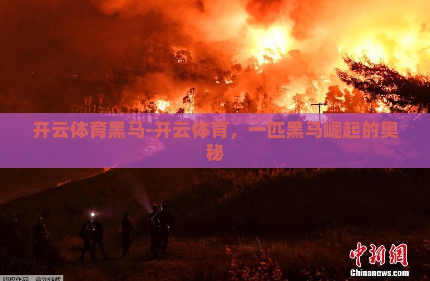 开云体育黑马-开云体育，一匹黑马崛起的奥秘